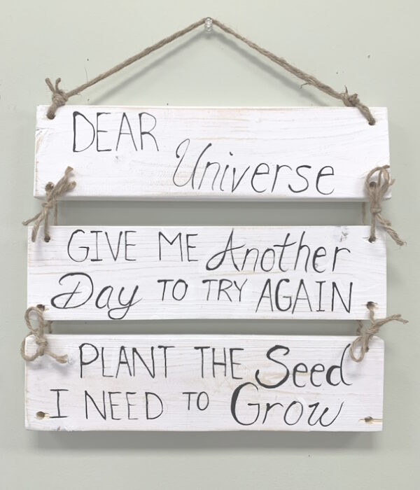 Dear Universe - Image 3